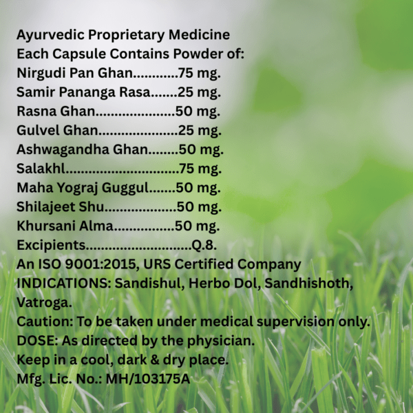 Artorius Tablet – Ayurvedic Relief for Joint Inflammation and Mobility - Image 3